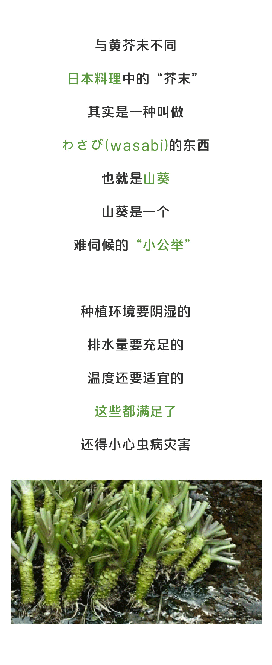 BBIN电竞