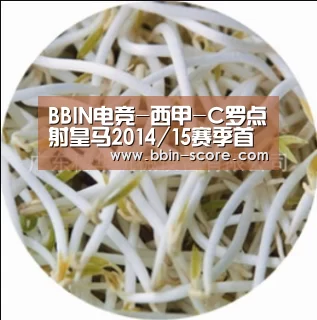 BBIN足球