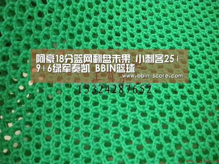 阿豪18分篮网翻盘未果 小刺客25+9+6绿军奏凯_BBIN篮球(图2) BBIN篮球
