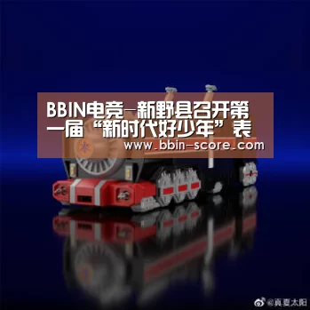 BBIN电竞-新野县召开第一届“新时代好少年”表彰会(图2) BBIN篮球