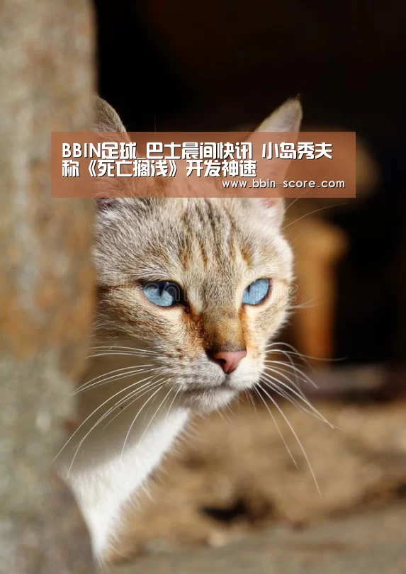 BBIN足球